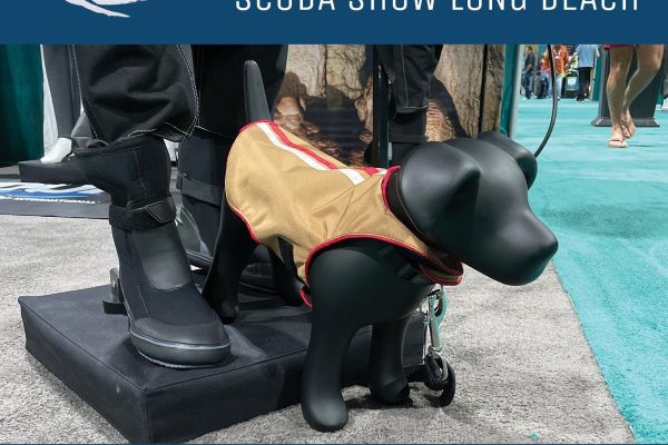 DUI Social Media - Long Beach